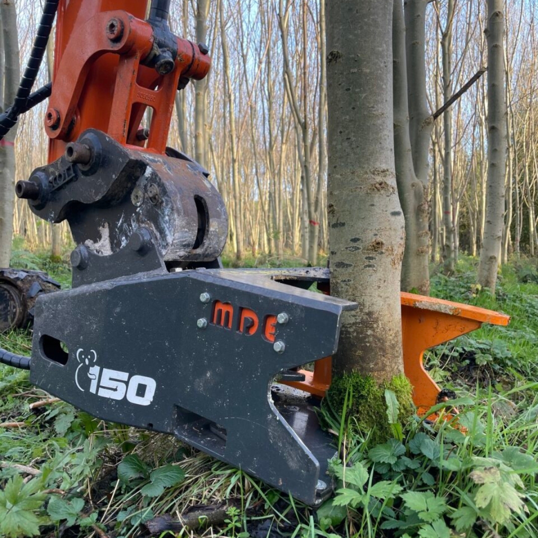 Koala 150